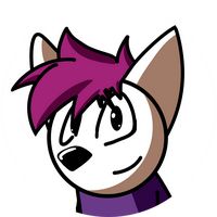 north_the_husky