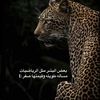 roobbee5r