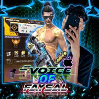 voiceoffaysal7
