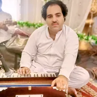 original sound - gulnawazofficial1