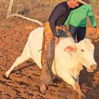 batistagarcia8