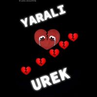 orijinal ses