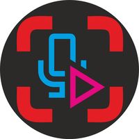 video_voice