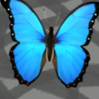 user706106162