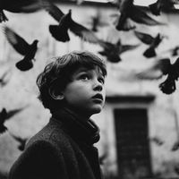 vv_vss8