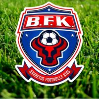 bfkbarretosfootbullskids