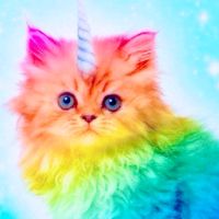 gnilaya.mol