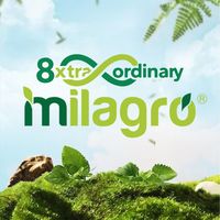 original sound - BAJA MILAGRO