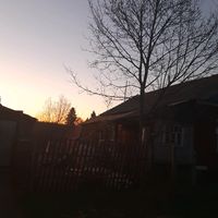 оригинальный звук