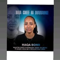 meseret.meseret6