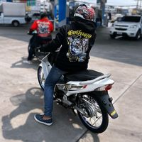 plam_03