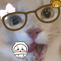 itzxyrrrcher