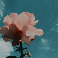 .detodounopoco