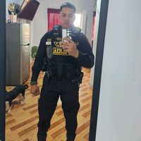 elvishinsbi