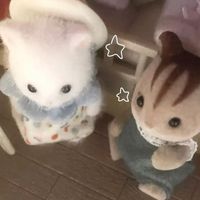y_rh06o