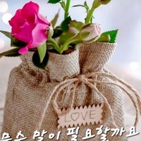 오리지널 사운드 - 아용다용미디어