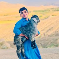 palwan_shoib0
