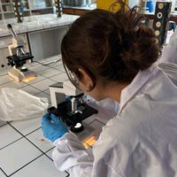chemistt3