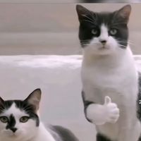 www.kkk6969