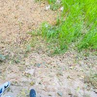 sotej__00