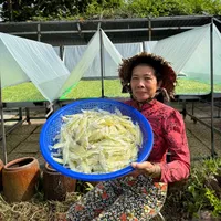 original sound - belinhbanmuoiotcayxonle