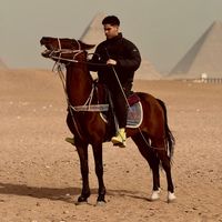 m.elsayad_777