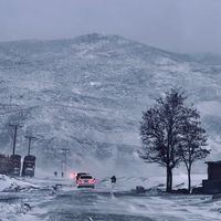 faisal_kakar_0
