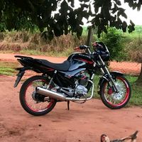david.estigarribi53