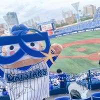 takka_baseball