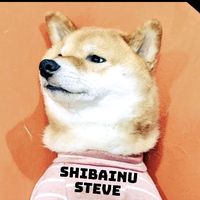 オリジナル楽曲 - 柴犬スティーブ