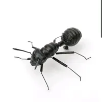 엠비씨네거리 챌린지