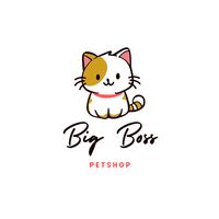 âm thanh gốc - Big Boss✅