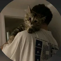 original sound - 5r.ft_2