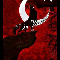 38_yagmur51