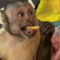 original sound - lyyy_032