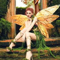 nhạc nền - Trang Nemo Style