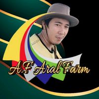 alfiraalmiracollection