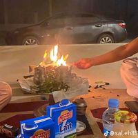 الصوت الأصلي