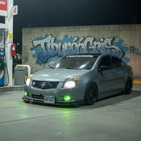 tiburon_griss_2.0