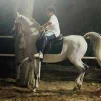 gando_y3m