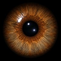 simsekmcquenn0111