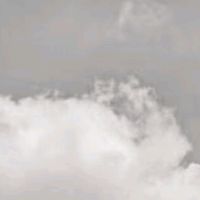 原声 - Nita