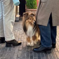 我對緣分小心翼翼