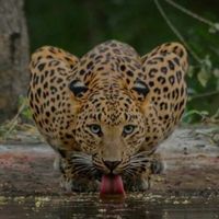 jaider_girald
