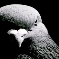 เสียงต้นฉบับ - ✙resty✠✪