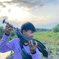 original sound - gl.codet_16