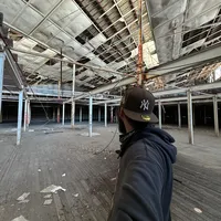 brown eyes n sunlight