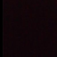 tiger__ali7452