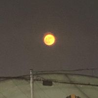 오리지널 사운드 - 접음