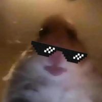 .posqiebear
